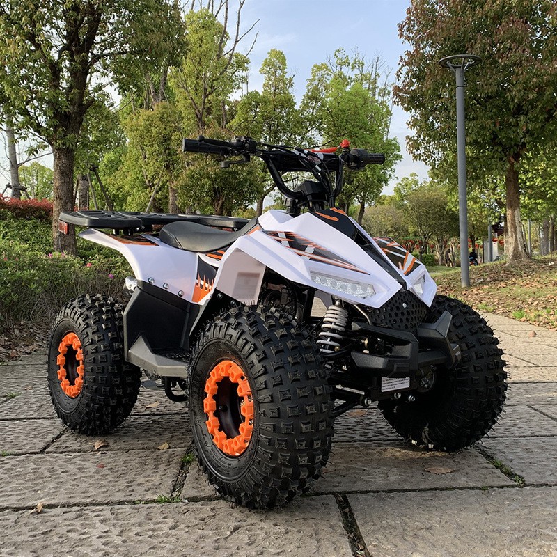 Outdoor Adventure Quad Biking - ATV de 125 CC, Vehículo Todoterreno