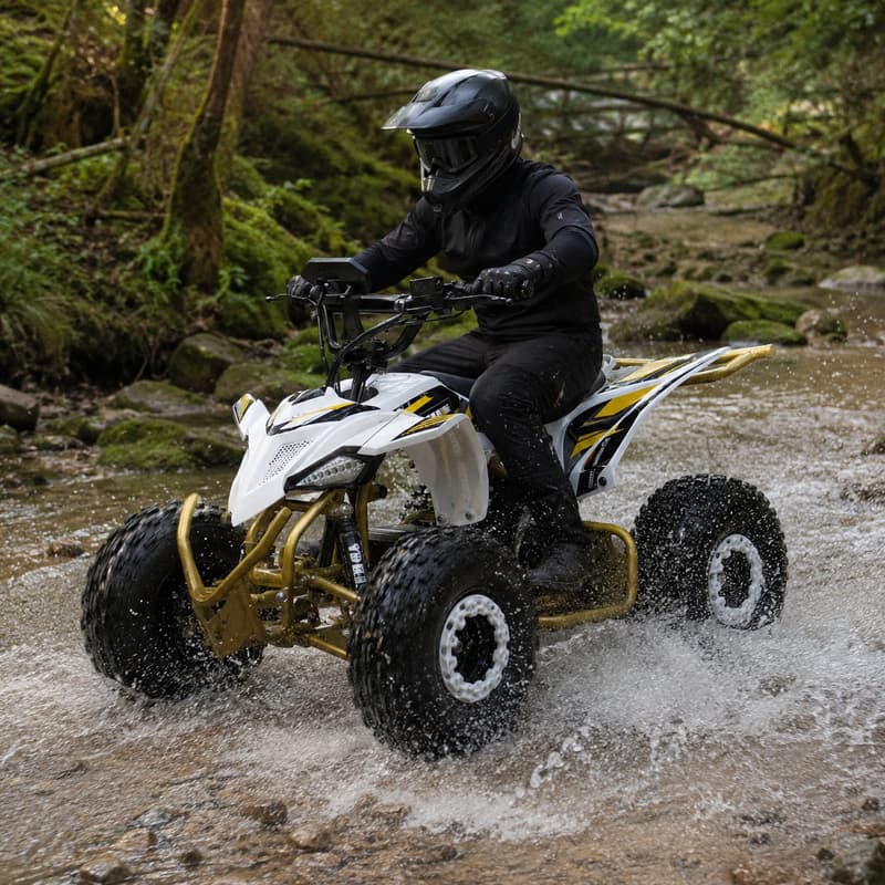 Outdoor Adventure Quad Biking - Buggy para Adultos Personalizado, Vehículo Todoterreno