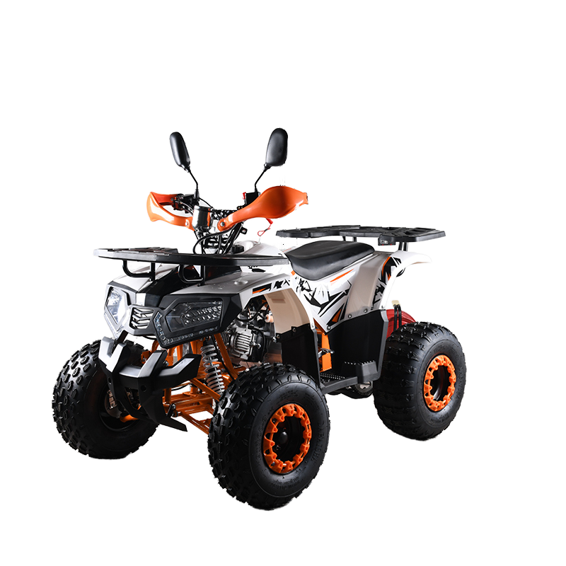 Cuatrimoto ATV de 110cc con Ce - Outdoor Adventure Quad Biking reseña y precio