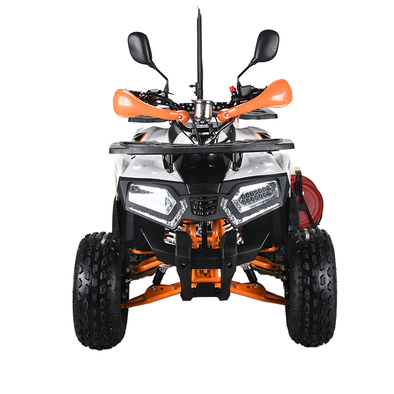 Cuatrimoto ATV de 110cc con Ce - Outdoor Adventure Quad Biking reseña y precio