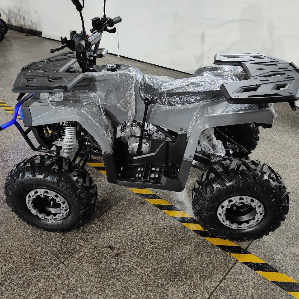 ATV 125cc, Cuatrimoto Todoterr - Outdoor Adventure Quad Biking reseña y precio