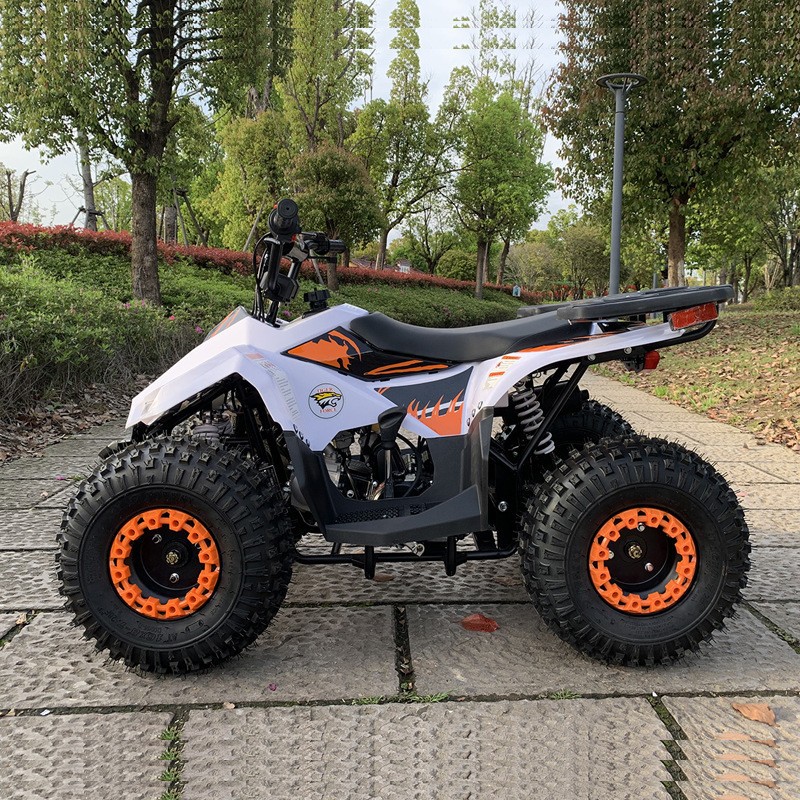 ATV de 125 CC, Vehículo Todote - Outdoor Adventure Quad Biking reseña y precio