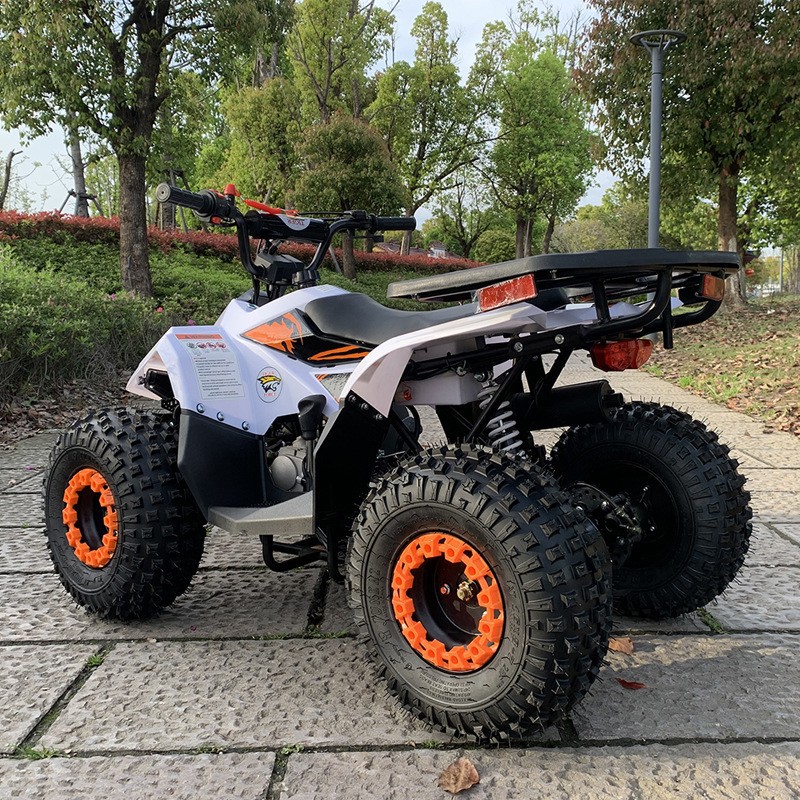 ATV de 125 CC, Vehículo Todote - Outdoor Adventure Quad Biking reseña y precio