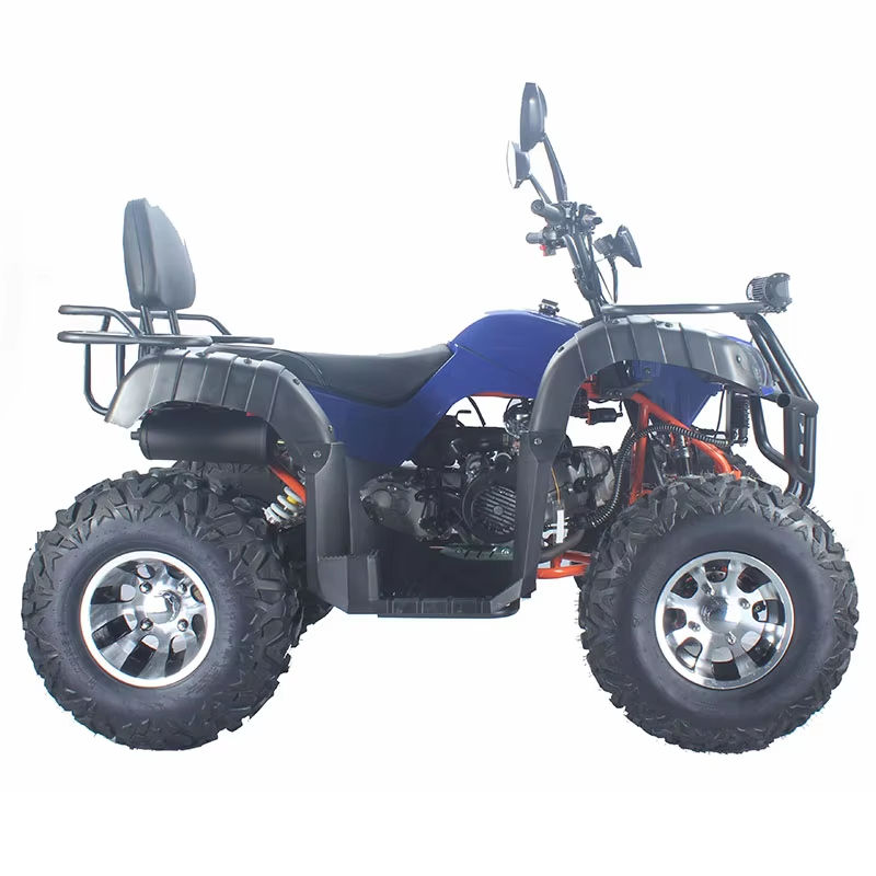 Buggy de Carreras para Adultos - Outdoor Adventure Quad Biking reseña y precio