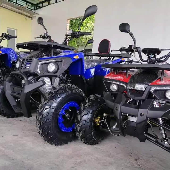Buggy Todoterreno de 200CC GY6 - Outdoor Adventure Quad Biking reseña y precio